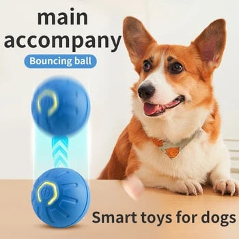 Automatic Smart Teasing Dog Ball, Smart Self Teasing Rolling Dog Ball